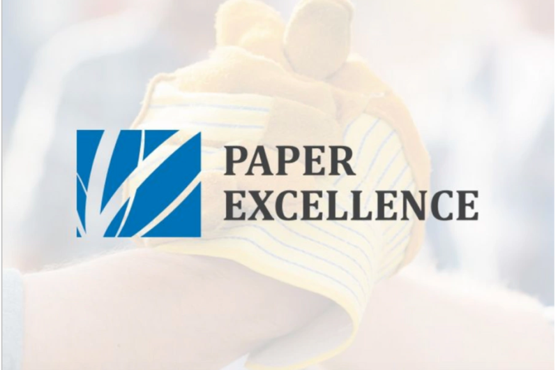 Paper Excellence News