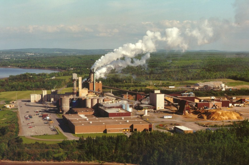 Northern Pulp Creditor Protection