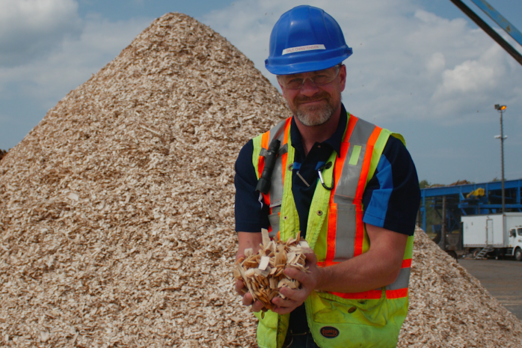 Pulp Wood Chips