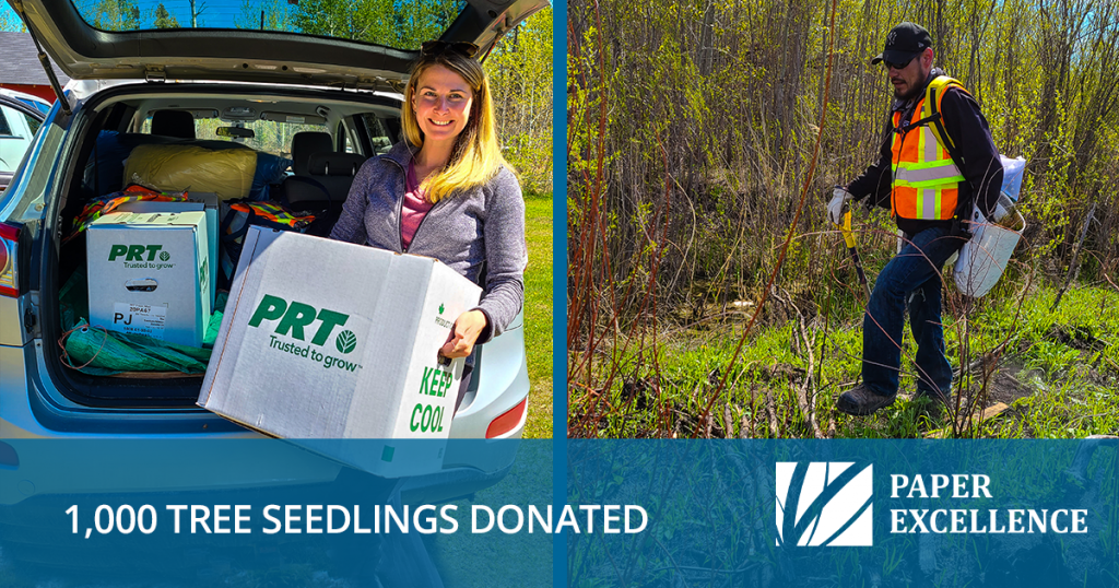1,000 Tree Seedling Donated