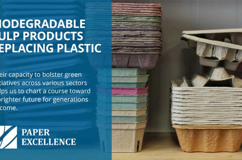 Biodegradable Pulp Product Uses to Replace Plastic